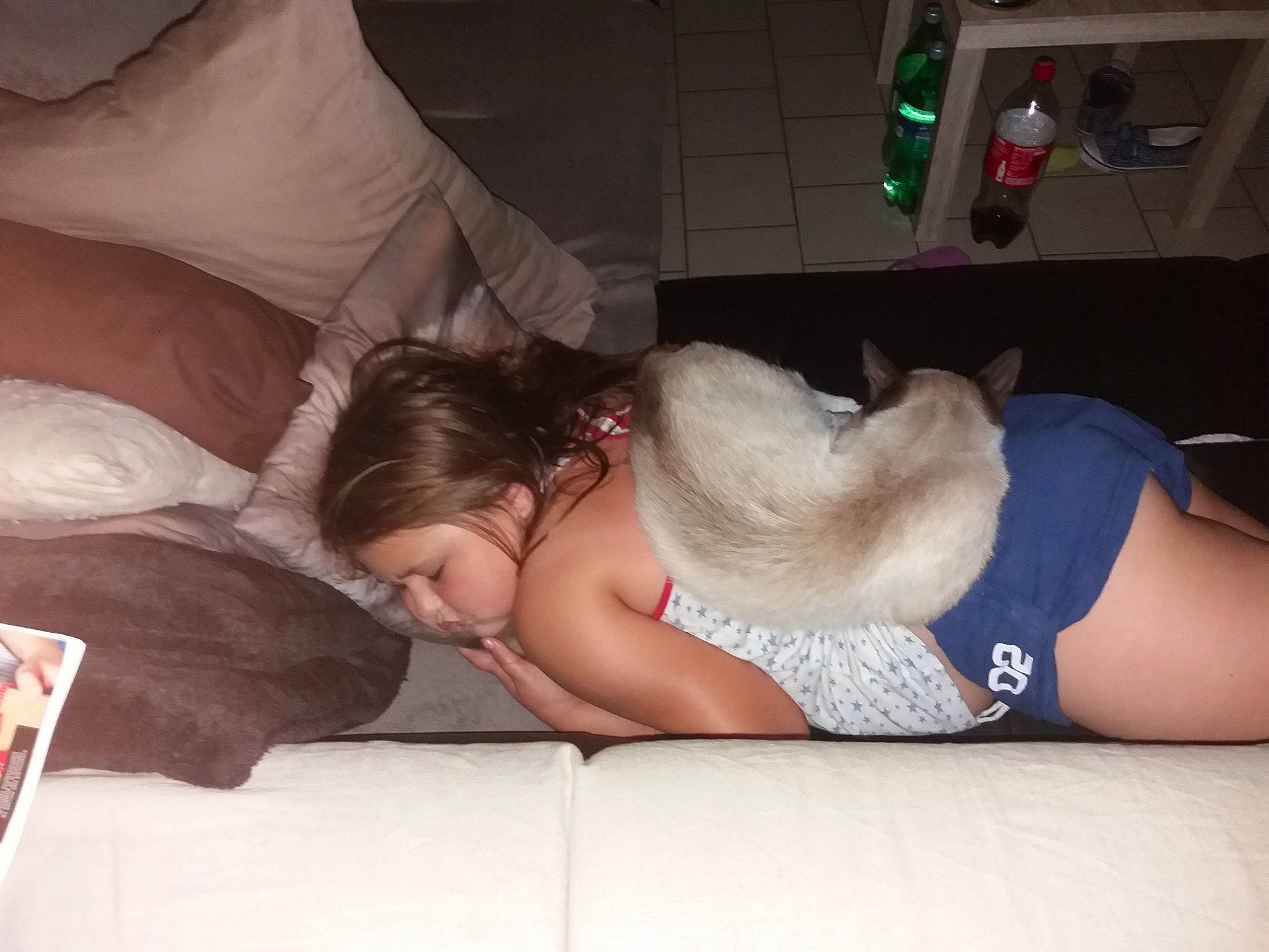 Chamallow a rejoint le concours — aidez-le/la à gagner de superbes lots ! black_hair, child, finger, hand, lap, leg, mouth, nap, sleep, sportswear, thigh, thumb