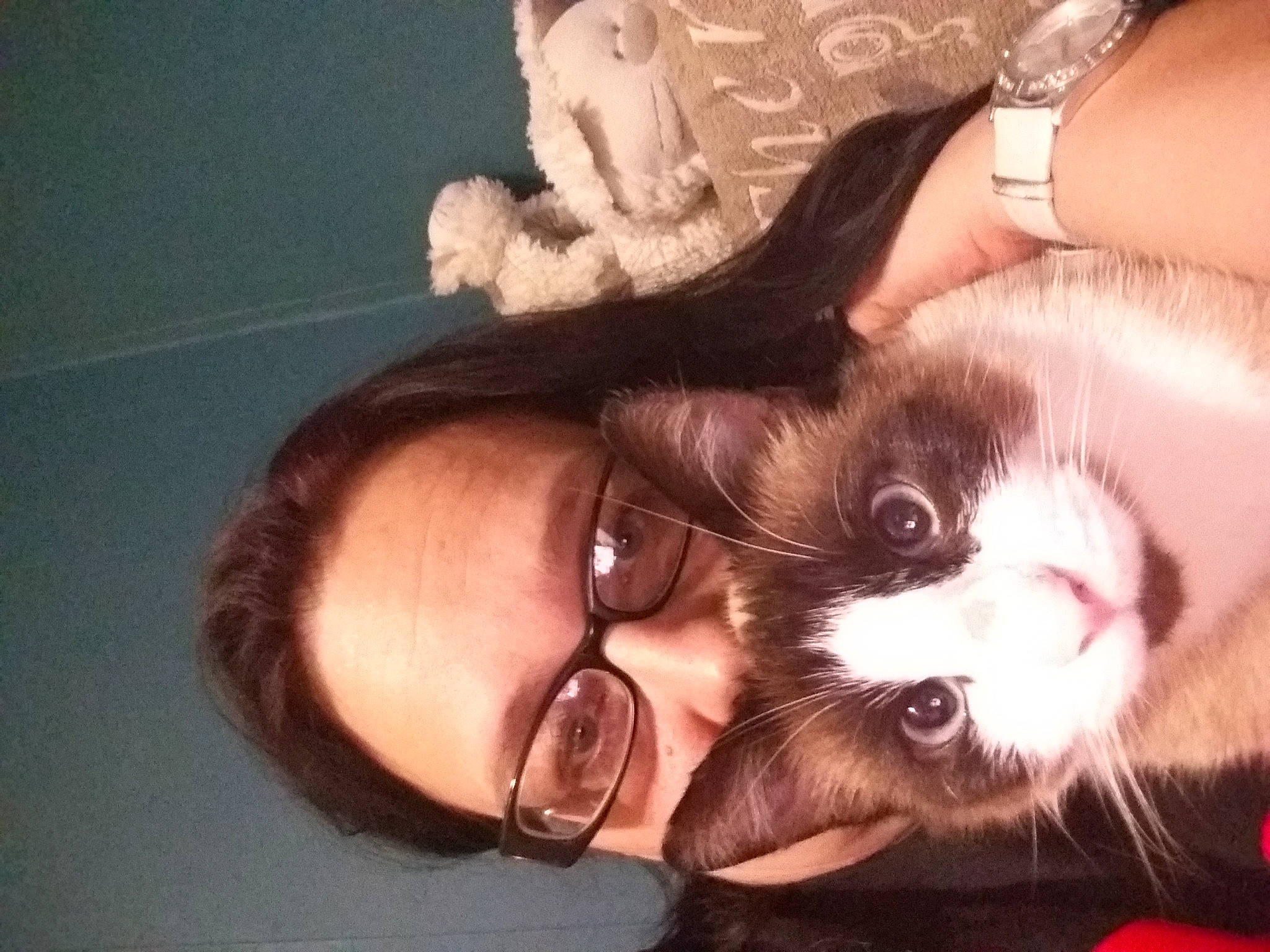 Chamallow participe au concours pour gagner de l'argent avec cette photo : black_hair, carnivore, cat, ear, eye, felidae, fur, gesture, kitten, lap, leg, love, mouth, nose, selfie, small_to_medium_sized_cats, smile, whiskers