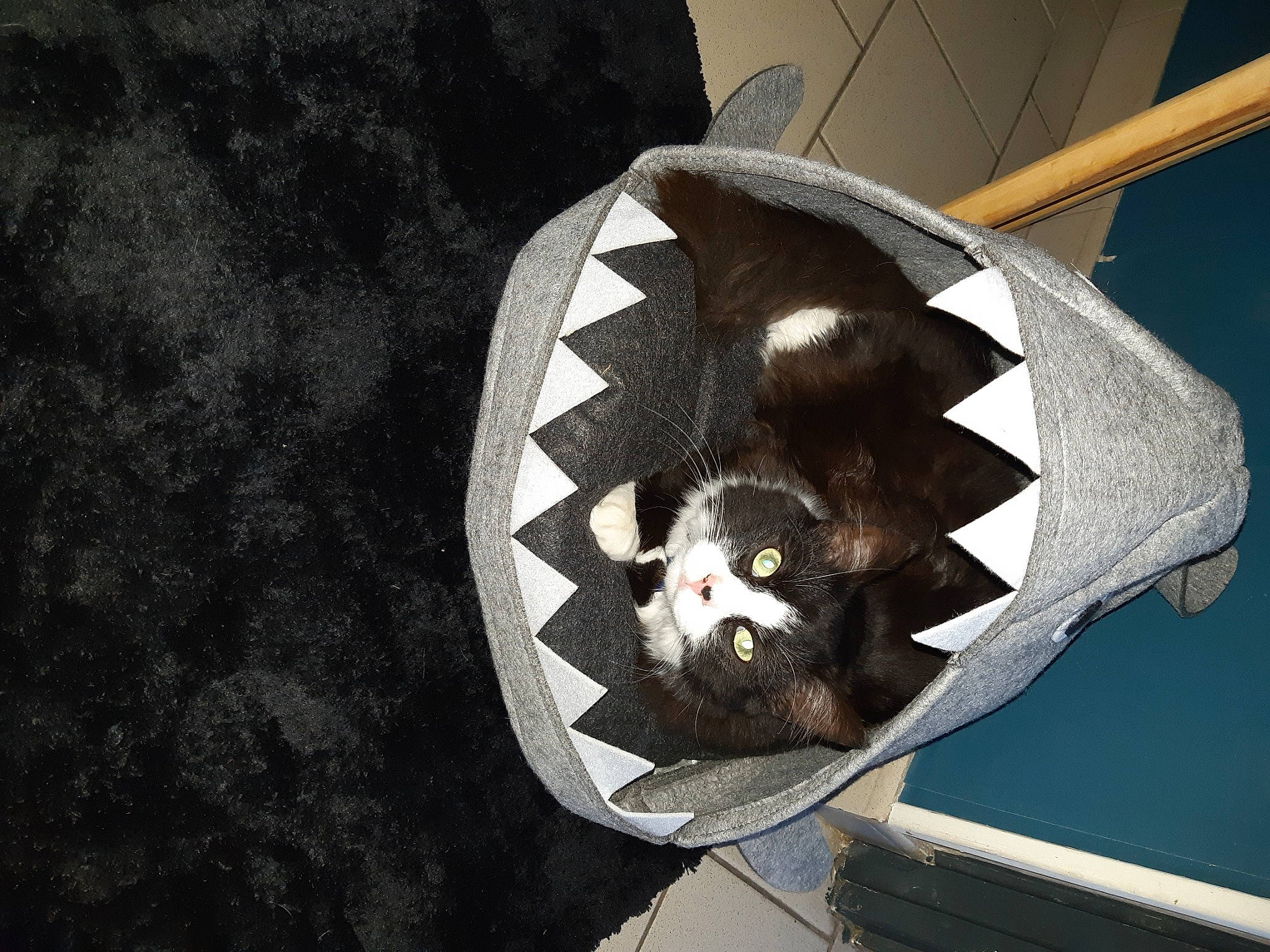 Gohan a rejoint le concours — aidez-le/la à gagner de superbes lots !