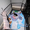 puppy, dog, pet_bed, playpen, toys, blanket, indoor, sleeping, fence, floor, ball, stuffed_toy, corner, resting, home, crate, comfort, small_dog, animal, cozy