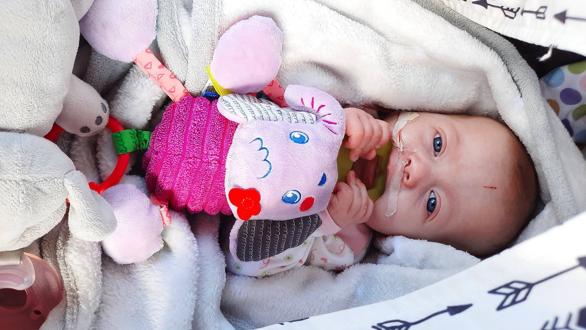 Raylee joined the competition — help win amazing prizes! art, baby, baby_sleeping, baby_toddler_clothing, cheek, child, comfort, headgear, linens, mammal, people, person, pink, product, room, skin, textile, toddler, toy, vertebrate