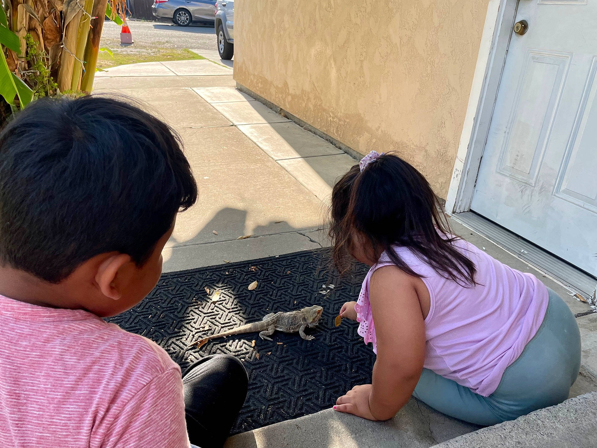 Irie is registered to the contest to win money with this photo: asphalt, black_hair, child, door, fun, grass, hairstyle, happy, leisure, mammal, person, recreation, sharing, sidewalk, sitting, t_shirt, thigh, tints_and_shades, toddler, travel