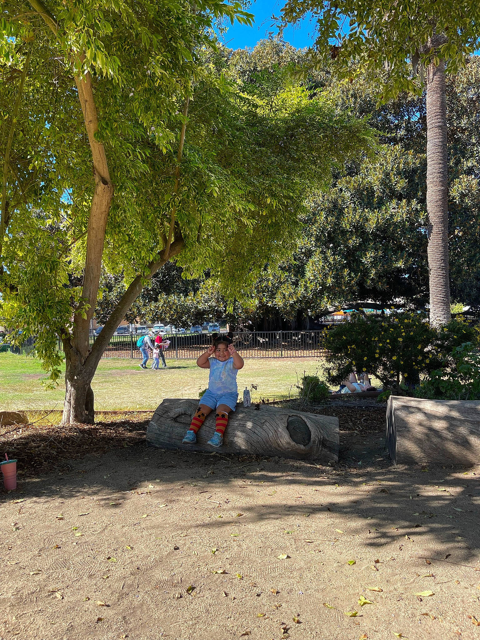 Irie is registered to the contest to win money with this photo: asphalt, bench, city, deciduous, grass, joy, landscape, leisure, people_in_nature, person, plant, recreation, road, road_surface, shade, sidewalk, soil, sunlight, tints_and_shades, tree