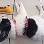 puppy, dog, black_and_white, pink_harness, toy, bone_shaped_toy, spider_print, lying_down, resting, tile_floor, pet, animal, cute, fur, sleeping, domestic_animal, playtime, indoor, close_up, young_dog