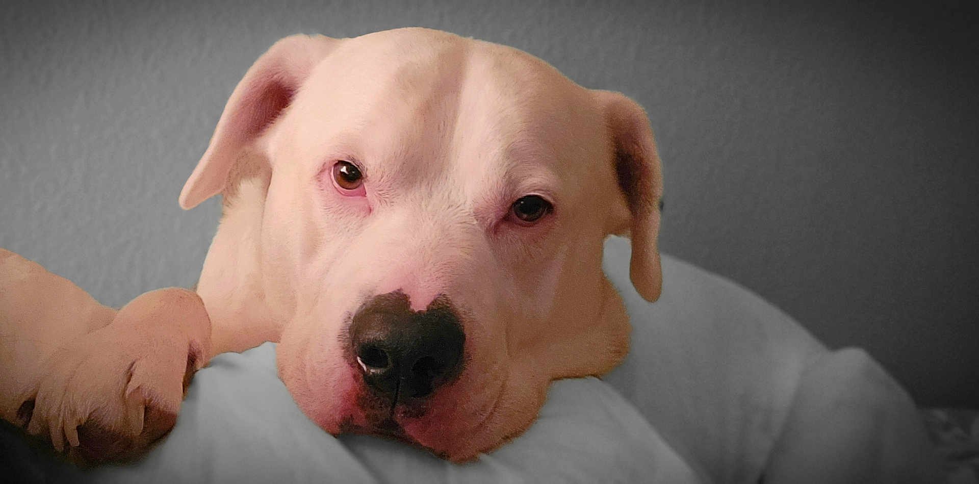 Ruger