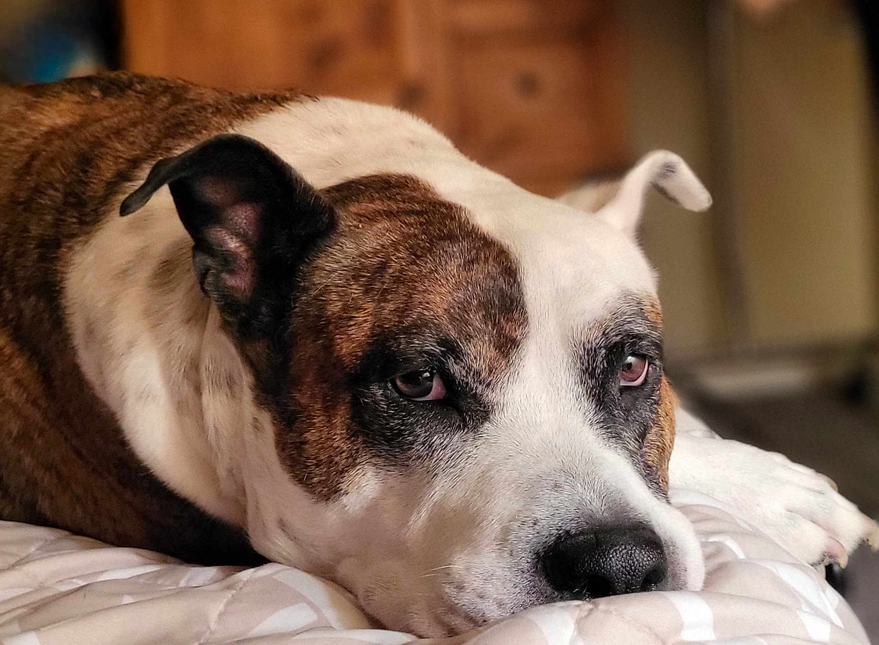Remington