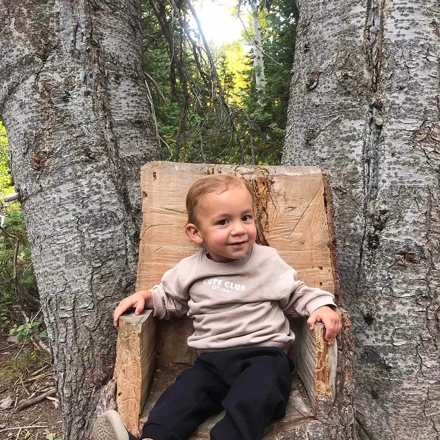 Kai George joined the competition — help win amazing prizes! child, toddler, smile, wooden_chair, tree_trunk, forest, outdoor, nature, casual_clothing, sweatshirt, pants, shoes, greenery, tree, wood, carving, relaxing, young_child, happy, seat
