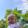 baby, child, grass, greenery, outdoor, nature, trees, sky, blue_sky, smiling, infant, cute, sunlight, young_child, portrait, flora, daylight, casual_clothing, toddler, playful