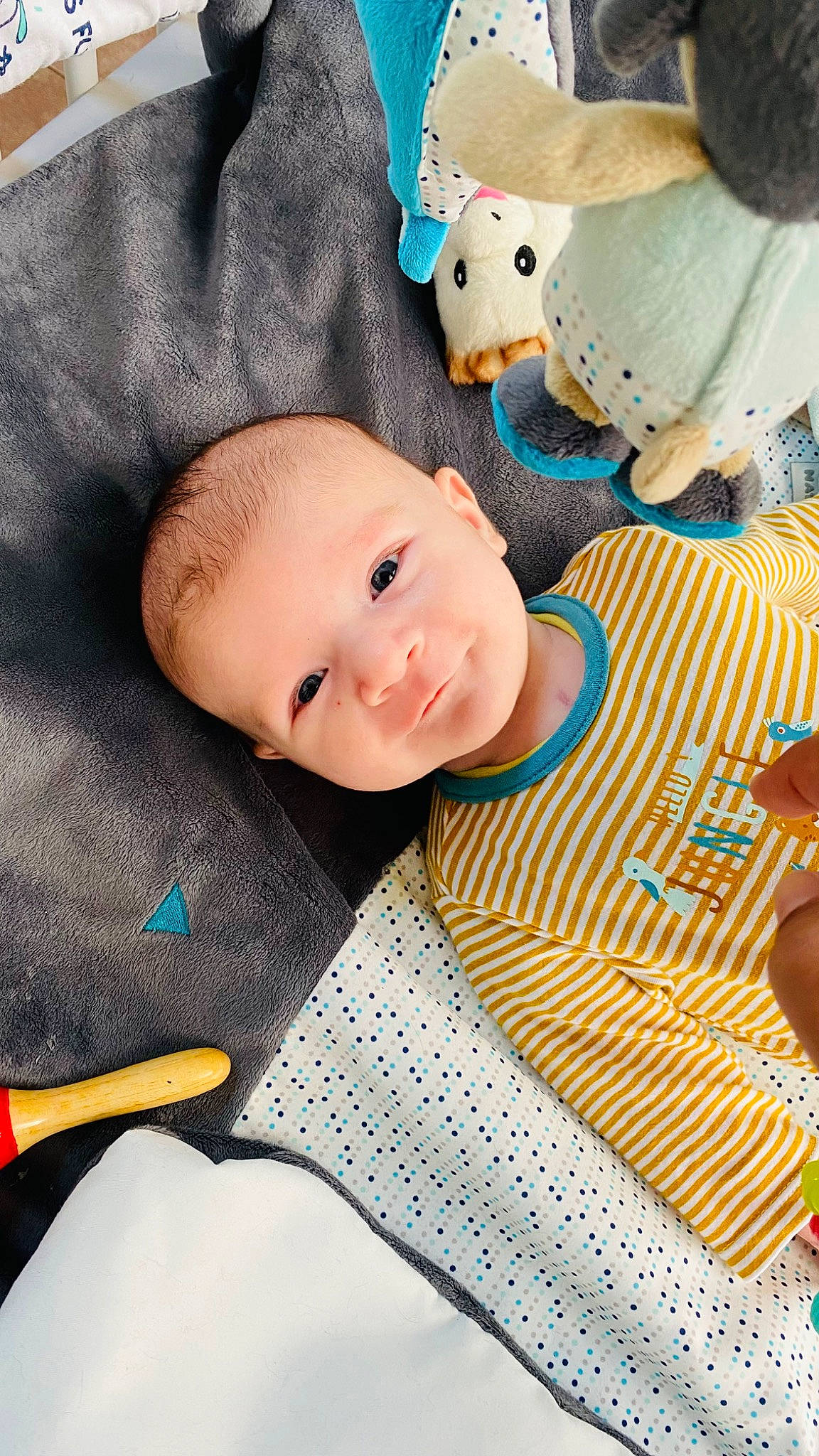 Maelo a rejoint le concours — aidez-le/la à gagner de superbes lots ! baby, baby_products, baby_toddler_clothing, baby_toys, cheek, child, comfort, doll, happy, linens, mammal, pattern, person, plush, sitting, smile, stuffed_toy, textile, toddler, toy