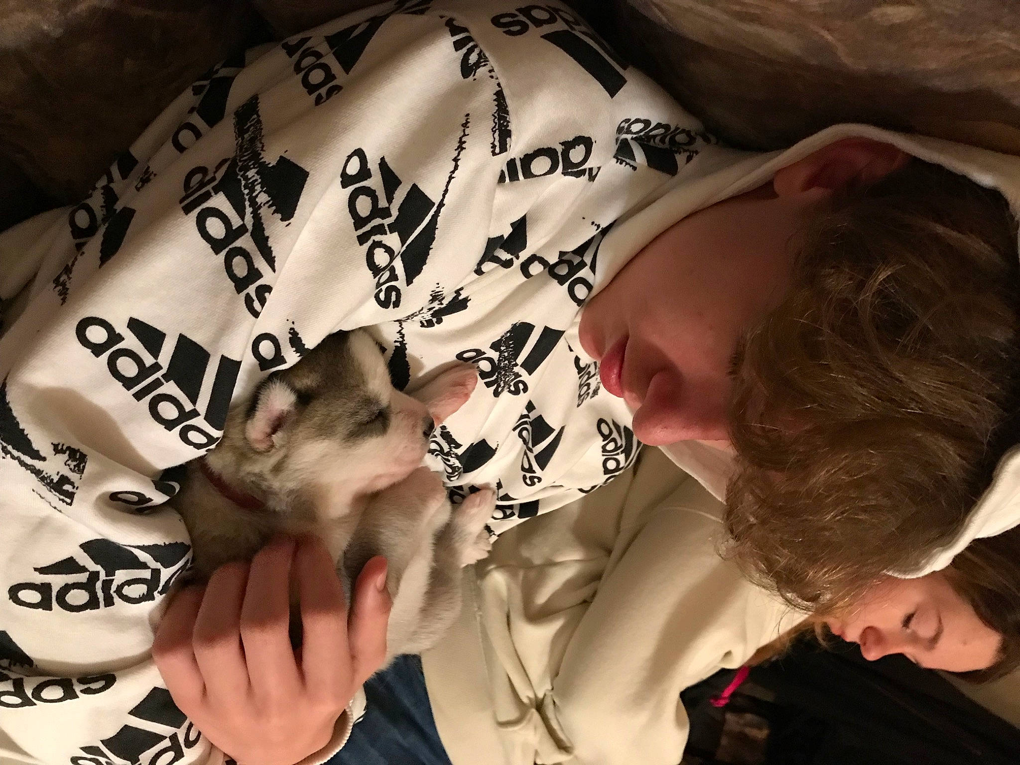 Apollo joined the competition — help win amazing prizes! child, comfort, eyewear, felidae, finger, flesh, font, fun, fur, gesture, happy, nail, pattern, sleeve, t_shirt