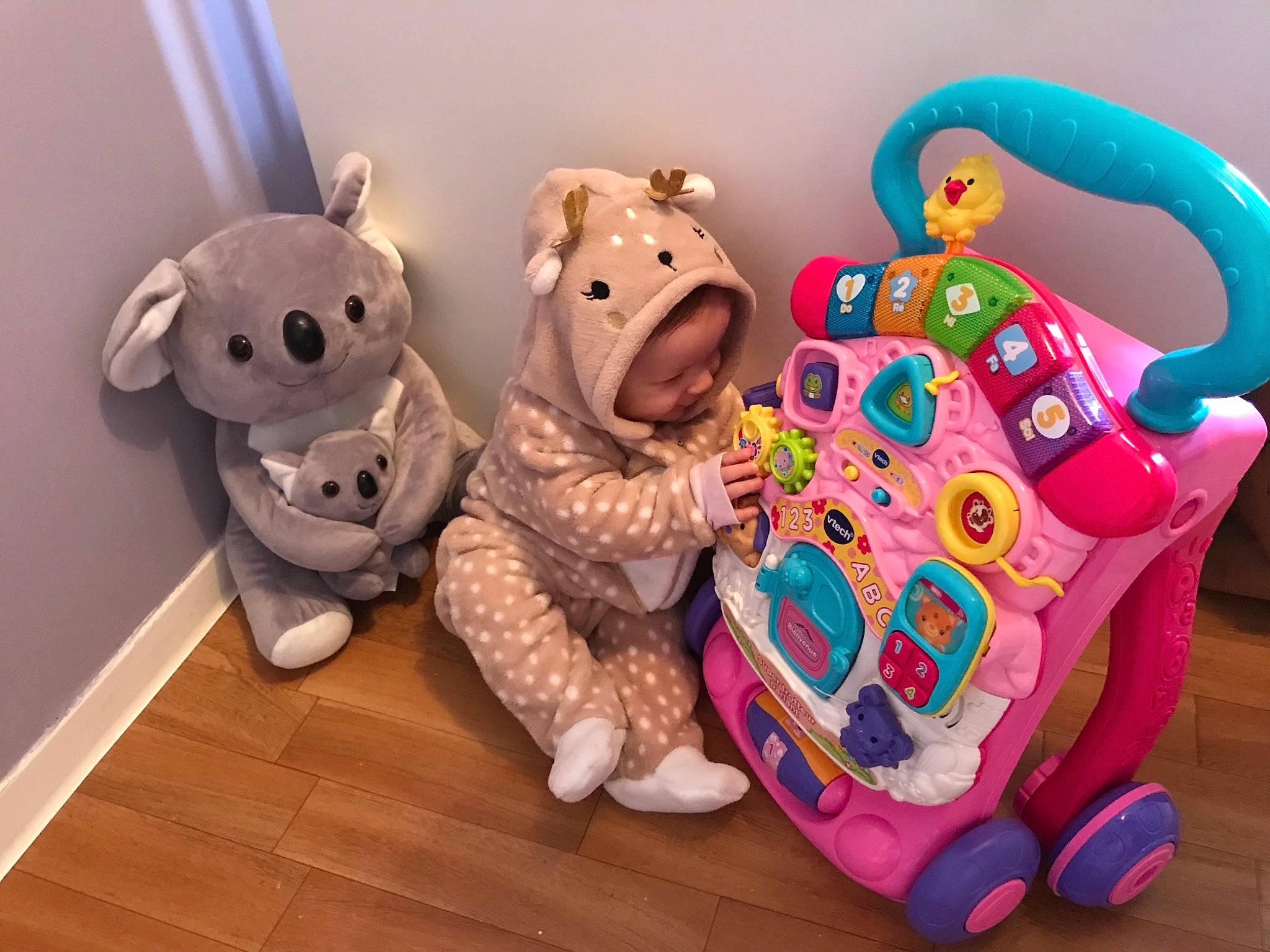 Délya a rejoint le concours — aidez-le/la à gagner de superbes lots ! baby_products, baby_toddler_clothing, baby_toys, blue, child, font, fun, happy, mammal, person, pink, plush, product, room, shelf, snout, stuffed_toy, textile, toy, vertebrate