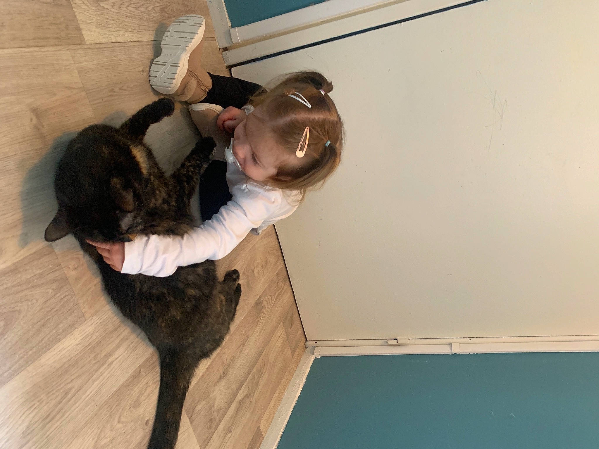 Délya participe au concours pour gagner de l'argent avec cette photo : adventure, ceiling, elbow, floor, flooring, fun, gesture, happy, hardwood, human_leg, knee, leg, leisure, person, room, shoe, sitting, tail, thigh, toddler