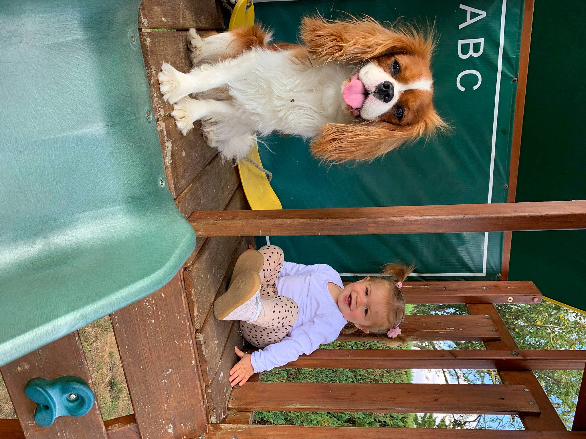 Délya participe au concours pour gagner de l'argent avec cette photo : baby, baby_toddler_clothing, baby_toys, canidae, companion_dog, dog_breed, fun, fur, grass, green, joy, leisure, line, pattern, person, play, room, stuffed_toy, toddler, toy