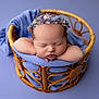 adorable, baby, blue_blanket, calm, child, closeup, cozy, cute, floral_headband, indoors, infant, newborn, peaceful, portrait, purple_background, resting, sleeping, soft_lighting, wicker_basket, wrapped