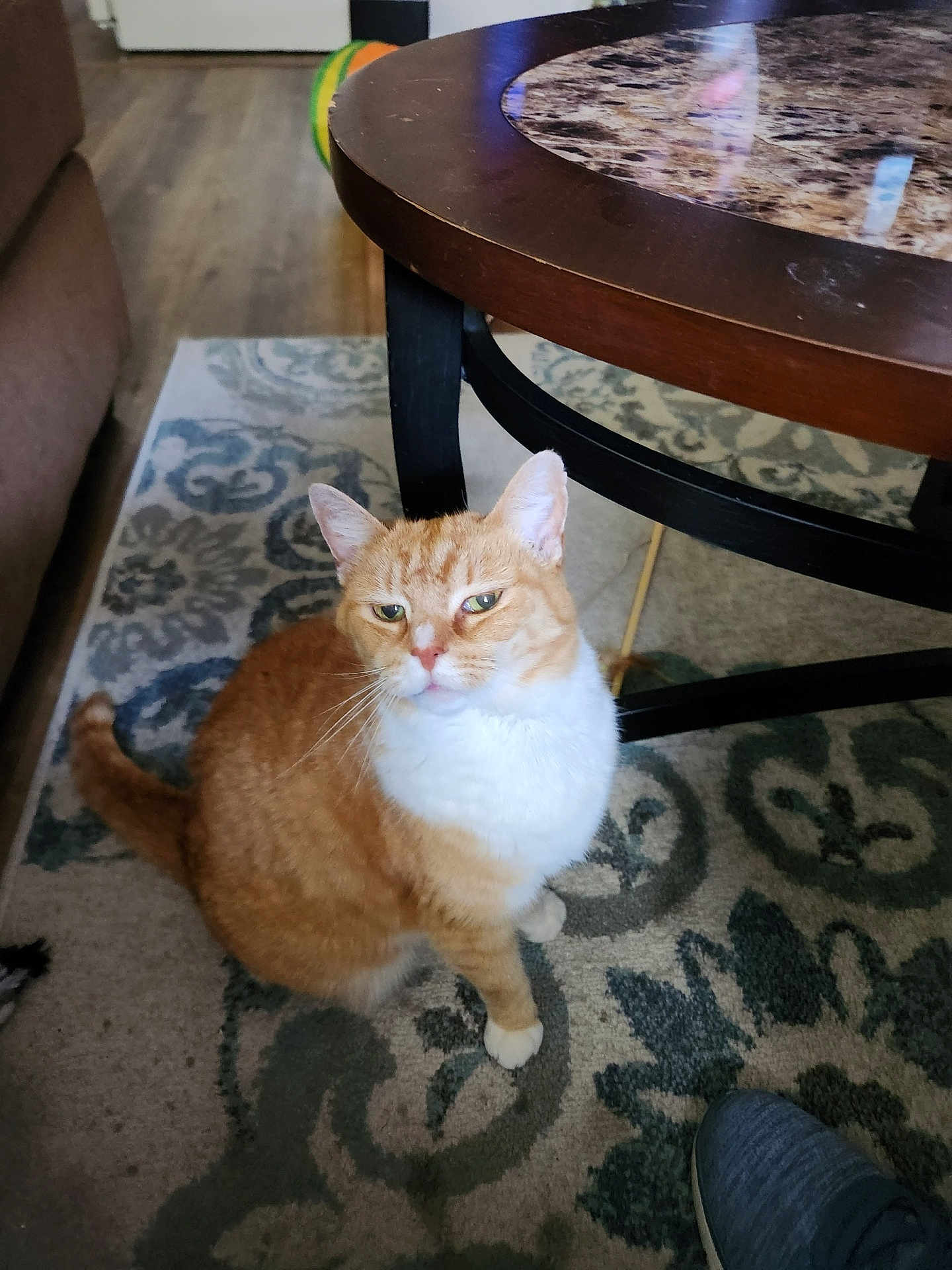 Sadie