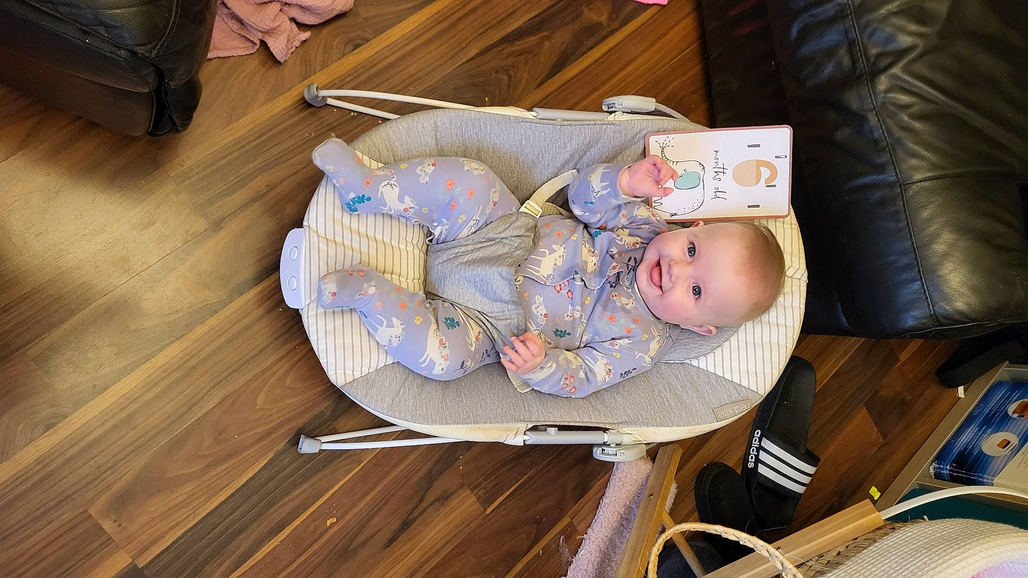 Charlotte joined the competition — help win amazing prizes! baby, baby_products, baby_safety, baby_toddler_clothing, child, comfort, flooring, hardwood, infant_bed, joy, laminate_flooring, lap, person, plank, room, sitting, skin, toddler, varnish, wood