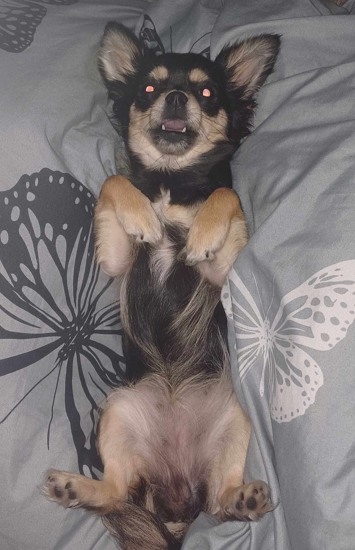 Rosie