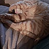 Bobber joined the competition — help win amazing prizes! animal, blanket, cat, comfortable, cozy, curled_up, cute, domestic_cat, feline, fur, ginger_cat, indoor, nap, paw, pet, relaxed, resting, sleeping, soft, striped
