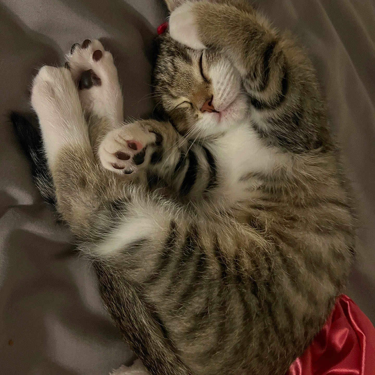 Mitty