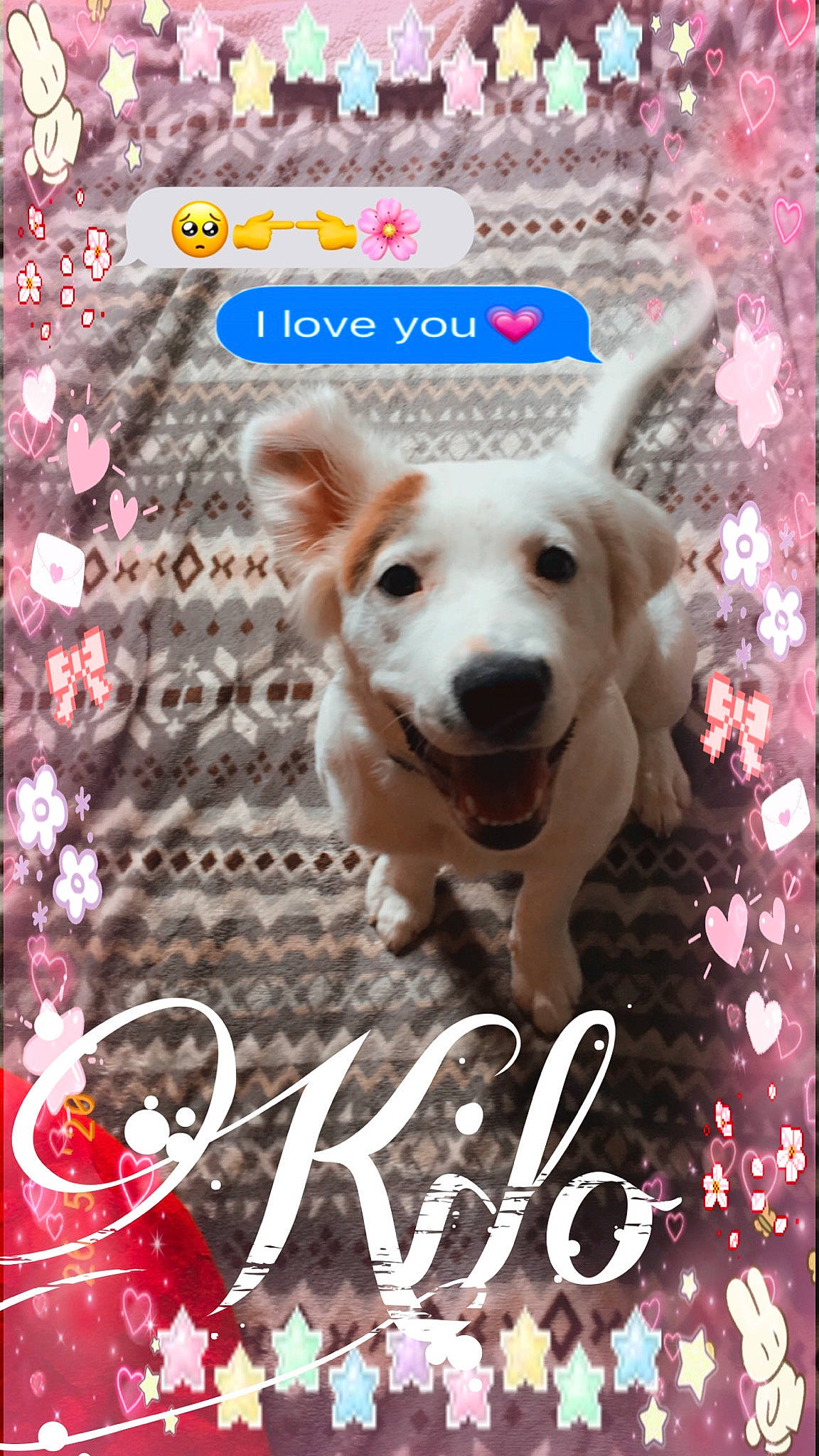 Kilo is registered to the contest to win money with this photo: canidae, carnivore, companion_dog, dog, dog_breed, labrador_retriever, photo_caption, puppy, puppy_love, rare_breed_dog, sporting_group