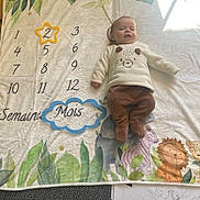 Logan participe au concours pour gagner de l'argent avec cette photo : baby, infant, blanket, milestone, numbers, star_frame, clothing, bear_design, animal_illustrations, greenery, months, smiling, lying_down, cute, indoors, soft_texture, child, cozy, portrait, happy