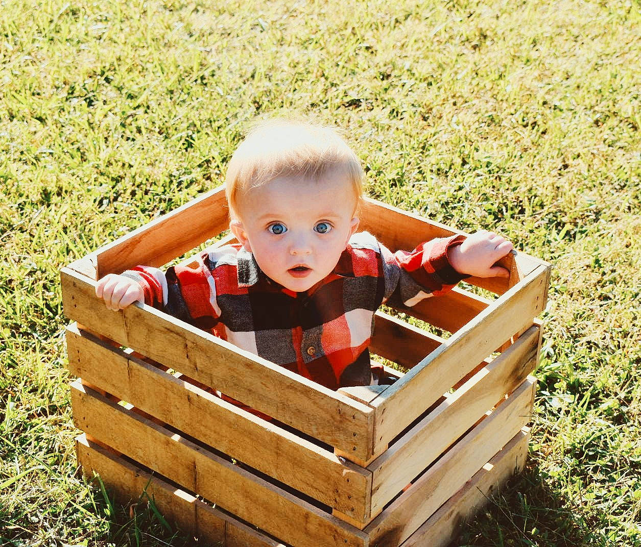Dexter is registered to the contest to win money with this photo: baby, child, grass, person, surprise, toddler