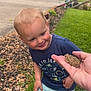child, toddler, barefoot, grass, toad, hand, blue_shirt, shorts, smile, outdoor, yard, mulch, tree, house, curious, nature, animal, daylight, person, greenery