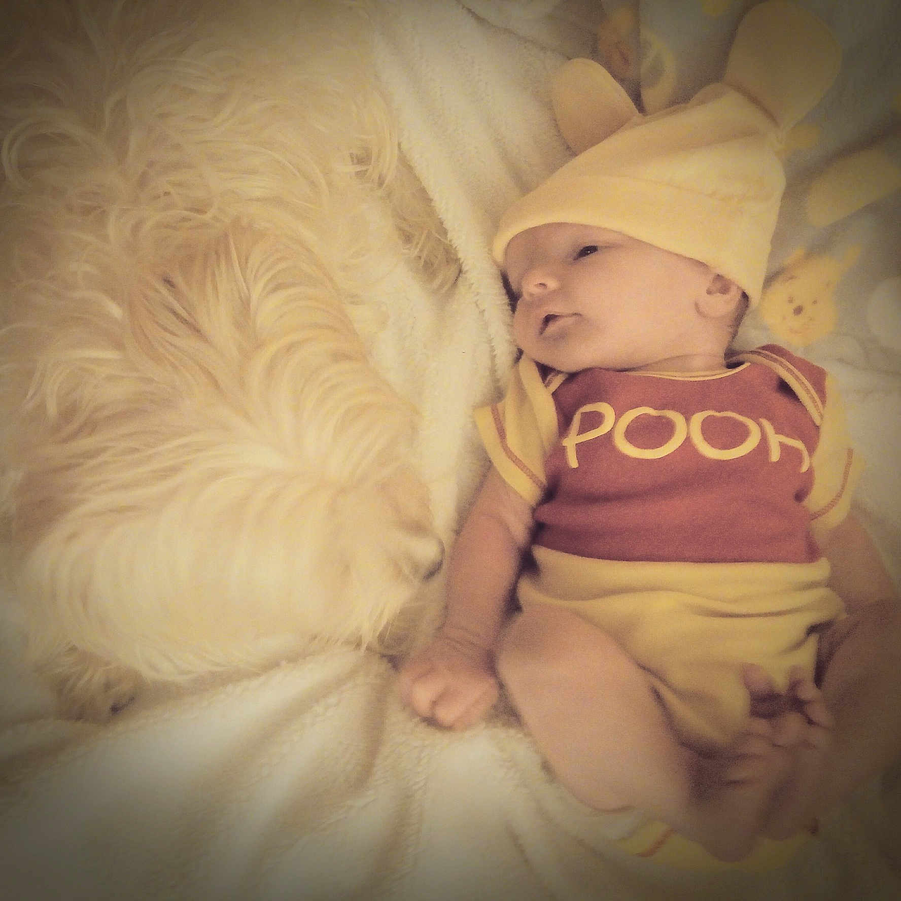 Lucius joined the competition — help win amazing prizes! baby, baby_products, baby_sleeping, cheek, child, cloud, eye, fur, person, product, skin, sky, sleep, smile, toddler