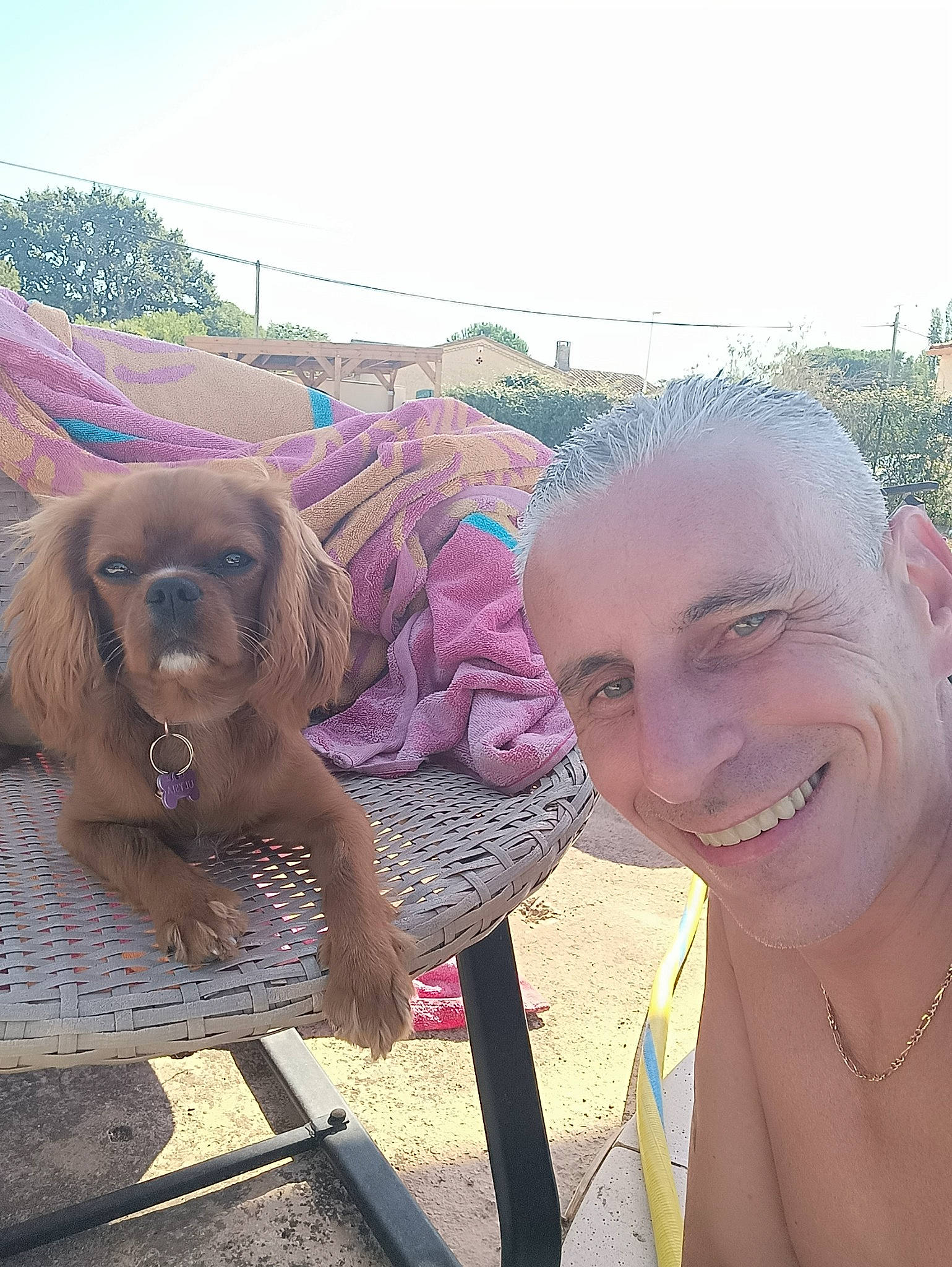 Ulysia a rejoint le concours — aidez-le/la à gagner de superbes lots ! carnivore, chest, companion_dog, dog, dog_breed, event, eyewear, fawn, fun, happy, landscape, leisure, liver, metal, selfie, sky, smile, sporting_group, travel, working_animal