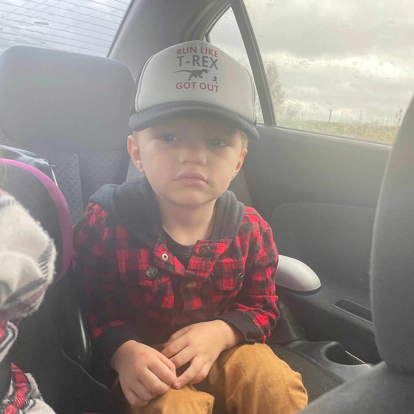 Ace joined the competition — help win amazing prizes! accessories, baby, baseballcap, belt, cap, car, car_interior, clothing, cushion, face, hat, head, homedecor, pants, person, photography, portrait, sitting, transportation, vehicle