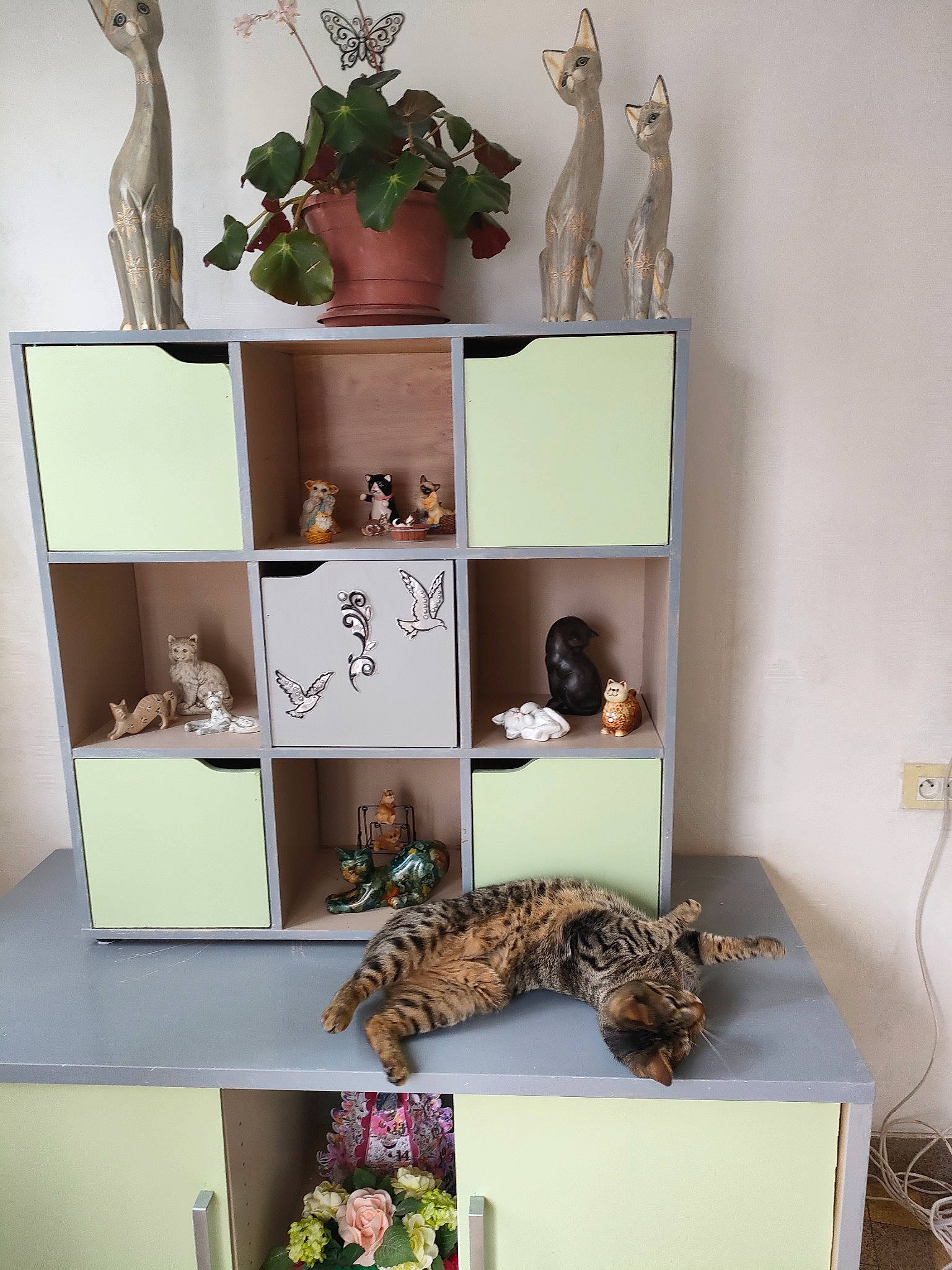 Doudou a rejoint le concours — aidez-le/la à gagner de superbes lots ! art, creative_arts, flowerpot, font, interior_design, mammal, natural_material, pattern, plant, rectangle, room, serveware, shelf, shelving, twig, vase, vertebrate, wall, white, wood