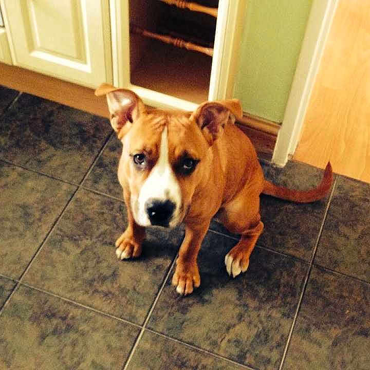 Nala joined the competition — help win amazing prizes!