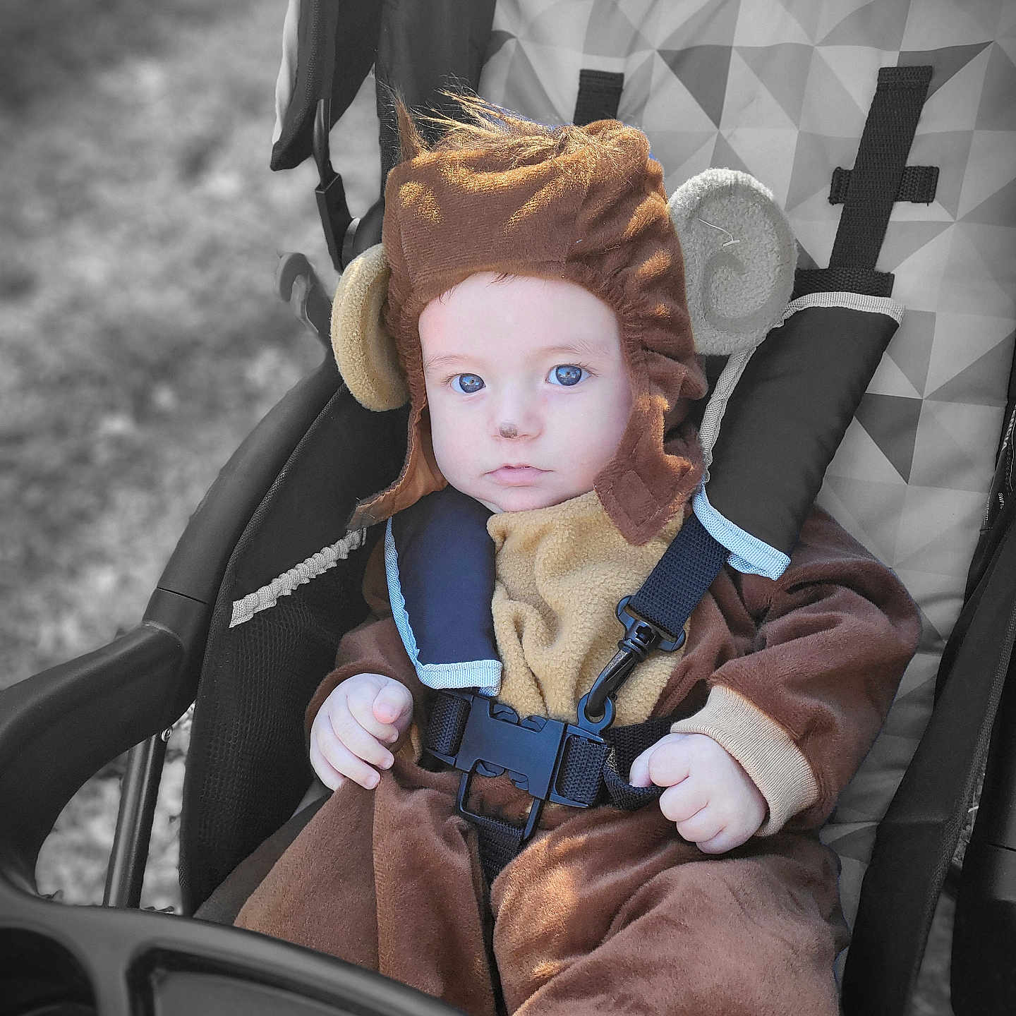 Luke is registered to the contest to win money with this photo: baby, bodypart, bonnet, cap, clothing, coat, costume, face, hat, head, hood, hoodie, jacket, knitwear, person, photography, portrait, stroller, sweater, sweatshirt