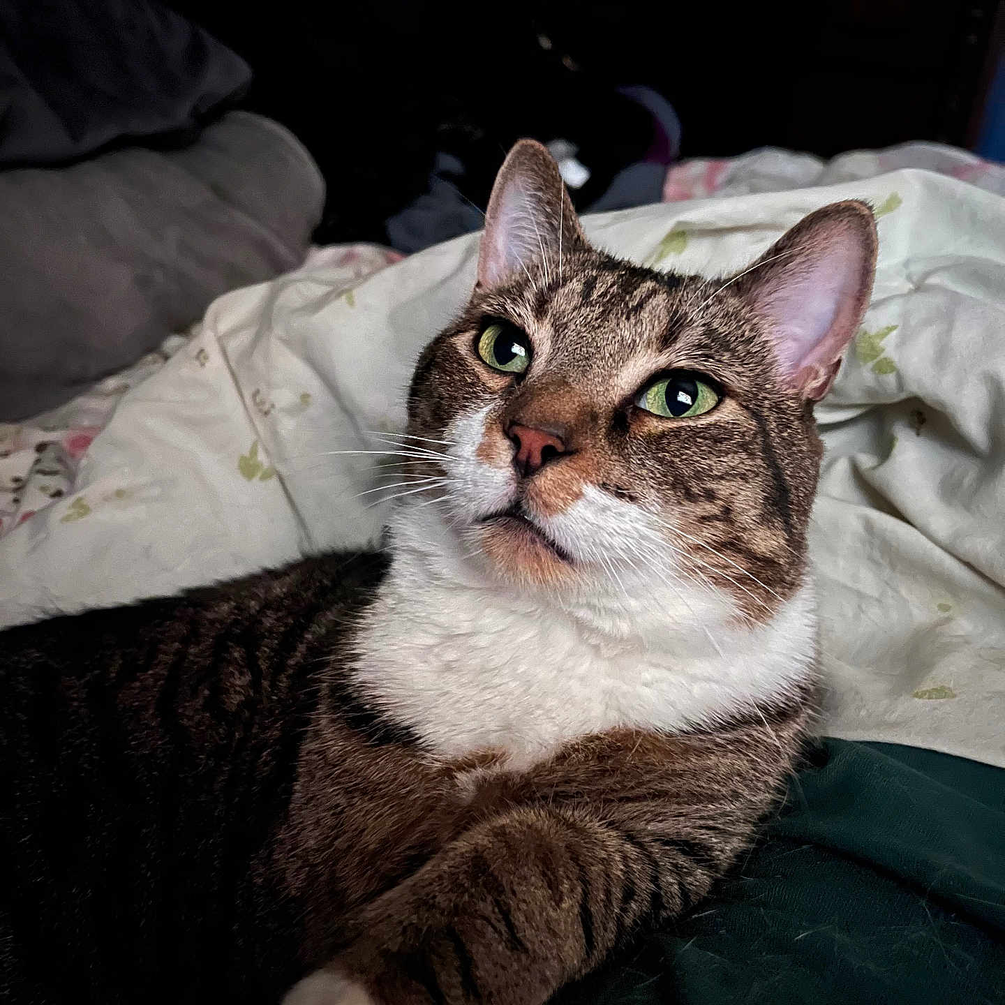 Bubs