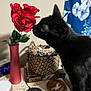 black_cat, artificial_flower, red_rose, pink_vase, table, basket, book, decorative_plate, curtain, floral_pattern, household_items, indoor, pet, animal, feline, close_up, side_profile, curious, domestic_cat, still_life