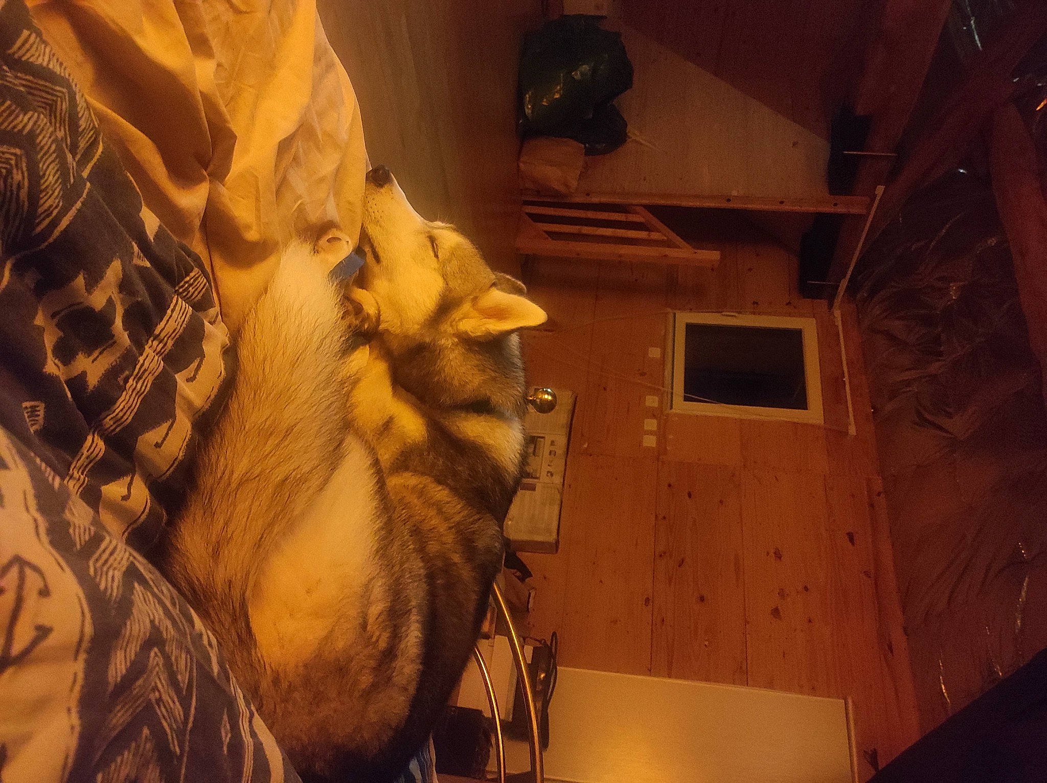 Thorin participe au concours pour gagner de l'argent avec cette photo : art, beard, carving, ceiling, darkness, eyewear, felidae, flooring, fur, monument, night, room, sculpture, shadow, tints_and_shades, tourist_attraction, visual_arts, window, wood