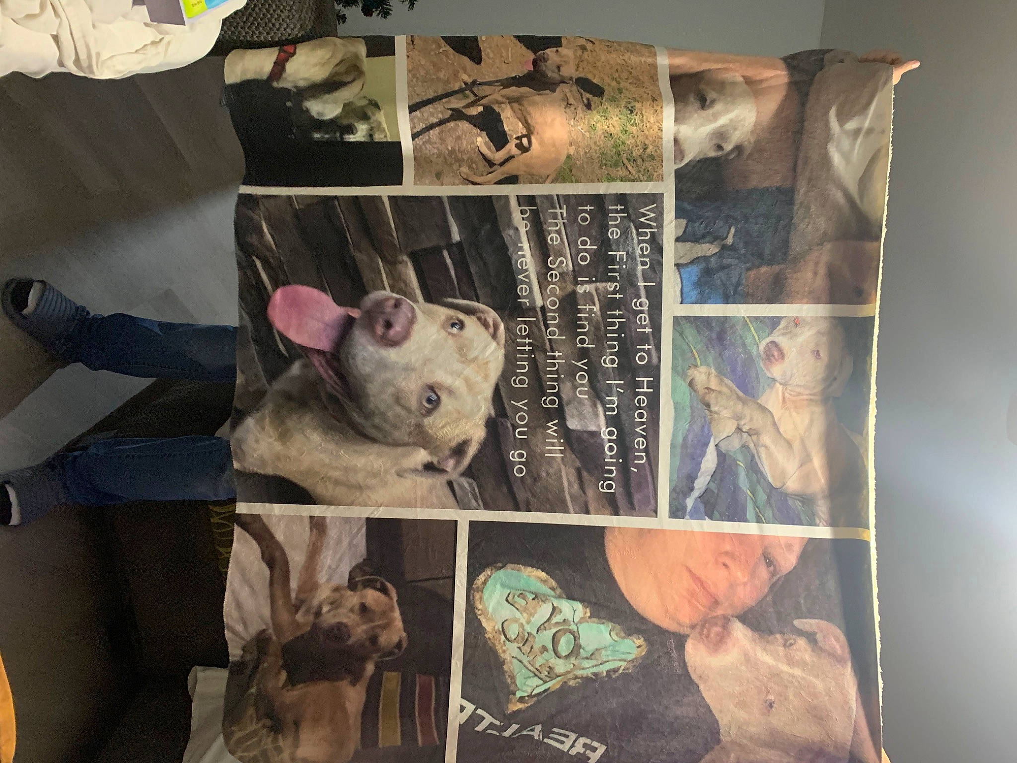 Sloan joined the competition — help win amazing prizes! art, collection, fiction, font, fur, linens, organism, paper, paper_product, pattern, publication, room, space, teddy_bear, toy, visual_arts