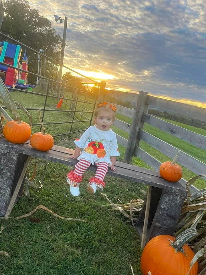 Raelynn joined the competition — help win amazing prizes! calabaza, cloud, cucurbita, fence, fun, gourd, grass, landscape, leisure, natural_foods, orange, people_in_nature, person, plant, pumpkin, sky, squash, surprise, toddler, tree