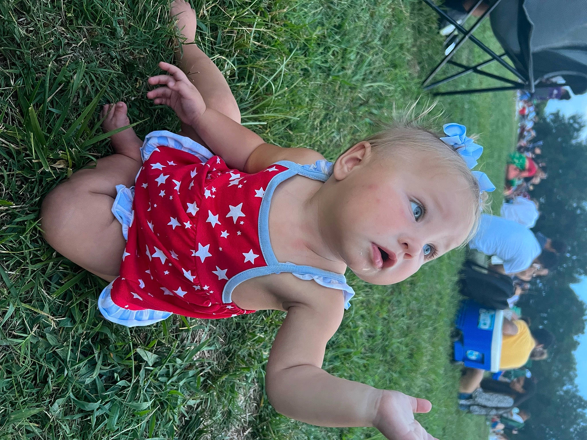 Trinady joined the competition — help win amazing prizes! baby, baby_toddler_clothing, botany, child, electric_blue, fun, garden, grass, happy, leisure, pattern, people_in_nature, person, plant, play, recreation, surprise, thigh, toddler, tree