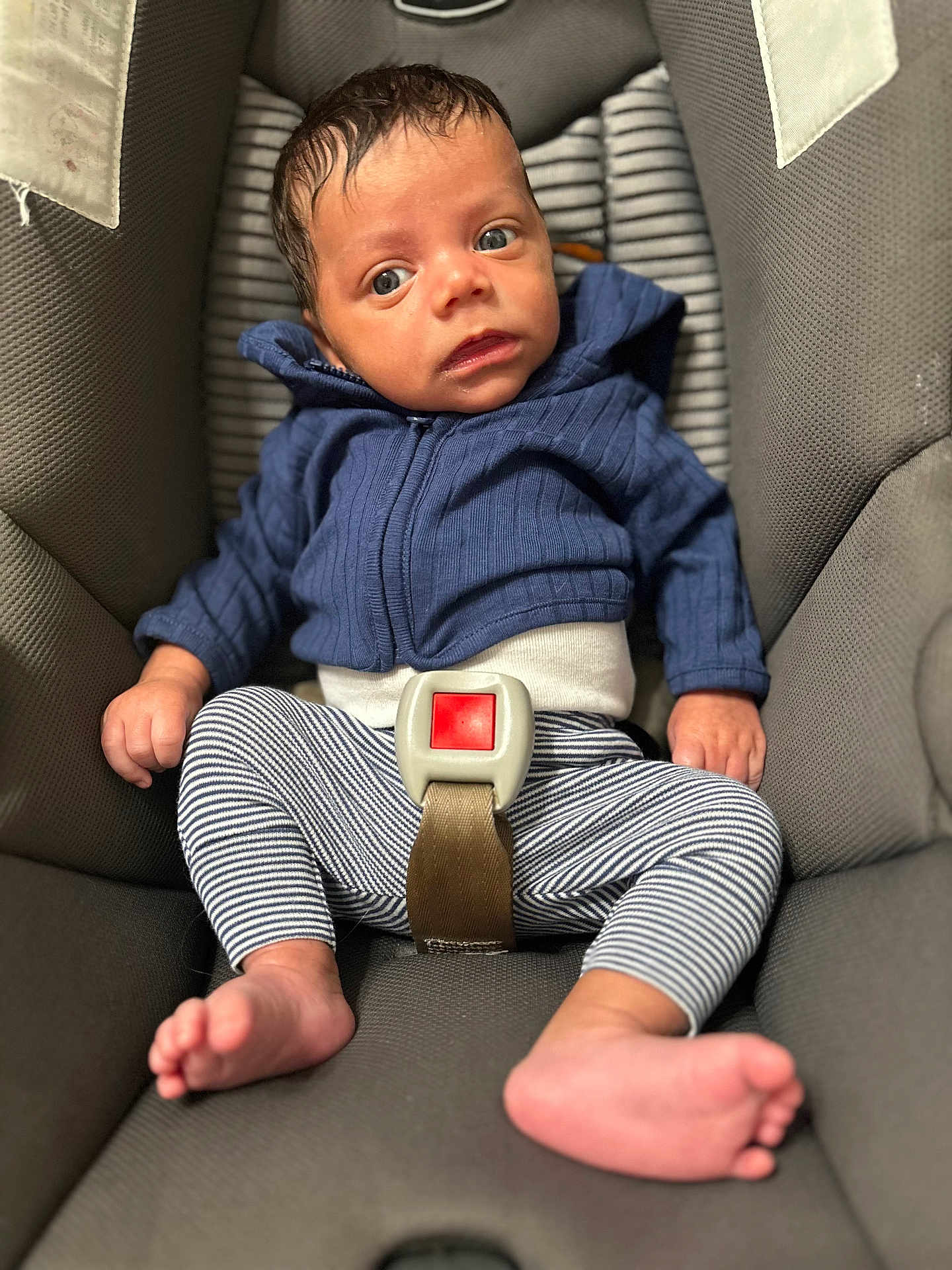 Kainan joined the competition — help win amazing prizes! baby, infant, car_seat, blue_hoodie, striped_pants, barefoot, child, seatbelt, curious, indoors, young, portrait, small_hands, tiny_toes, casual_clothing, comfortable, safety, seat, expression, cute
