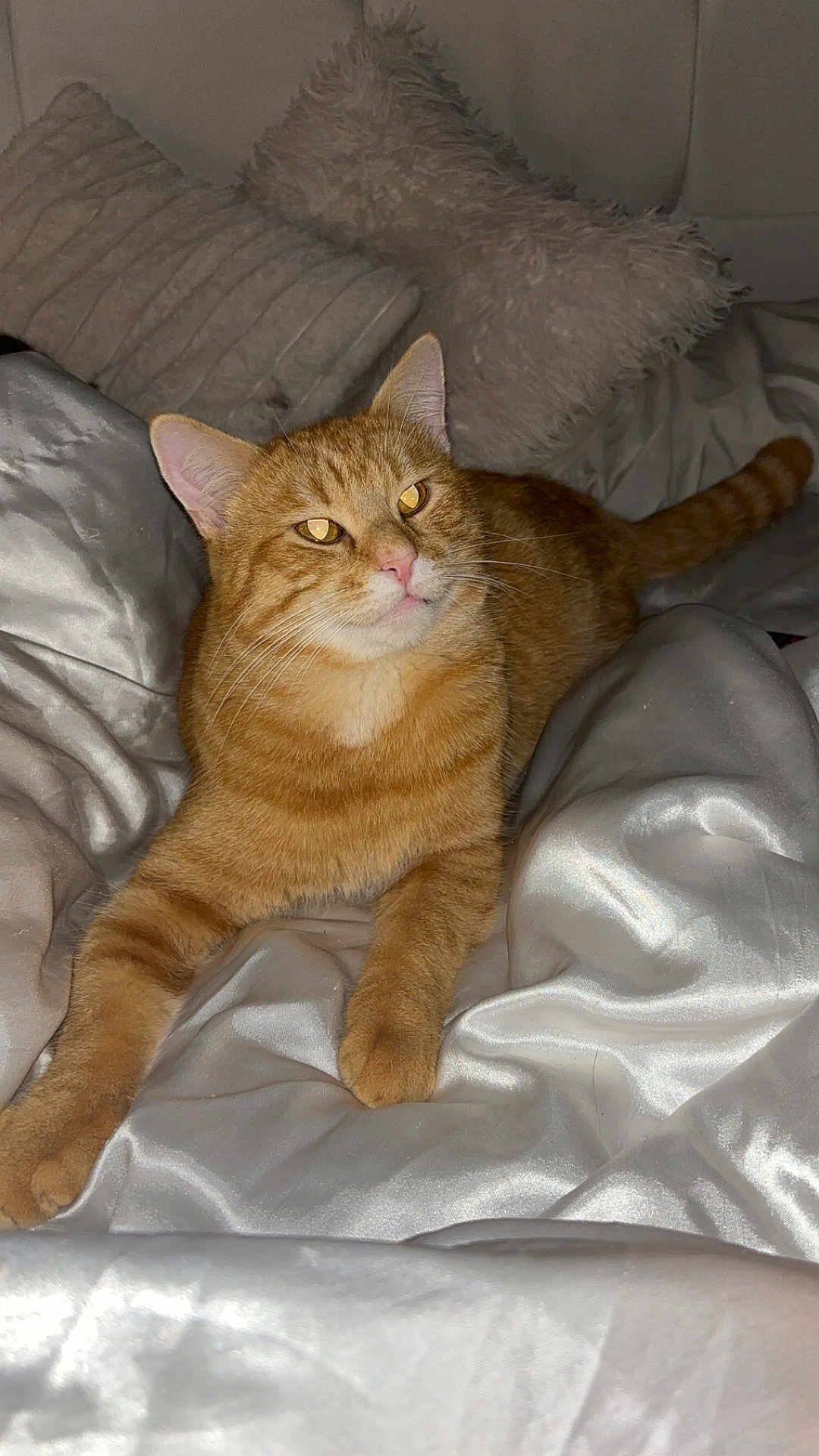 Ron