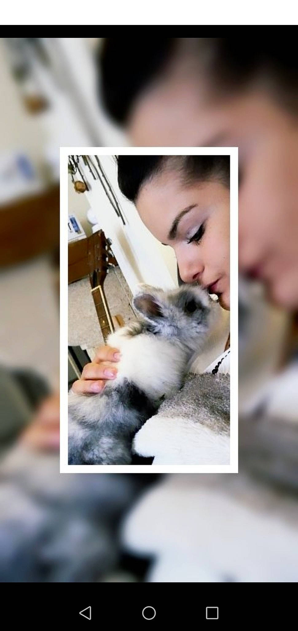 Pimpim a rejoint le concours — aidez-le/la à gagner de superbes lots ! cat, ear, hamster, photo_caption, whiskers