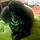 Cherie