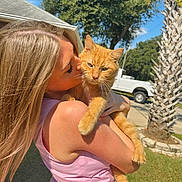 Gingy is registered to the contest to win money with this photo: woman, cat, orange_cat, outdoor, daylight, tree, palm_tree, grass, truck, kiss, blonde_hair, pink_dress, pet, animal, affection, holding, nature, sunny, portrait, closeup