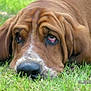 COOPER participe au concours pour gagner de l'argent avec cette photo :