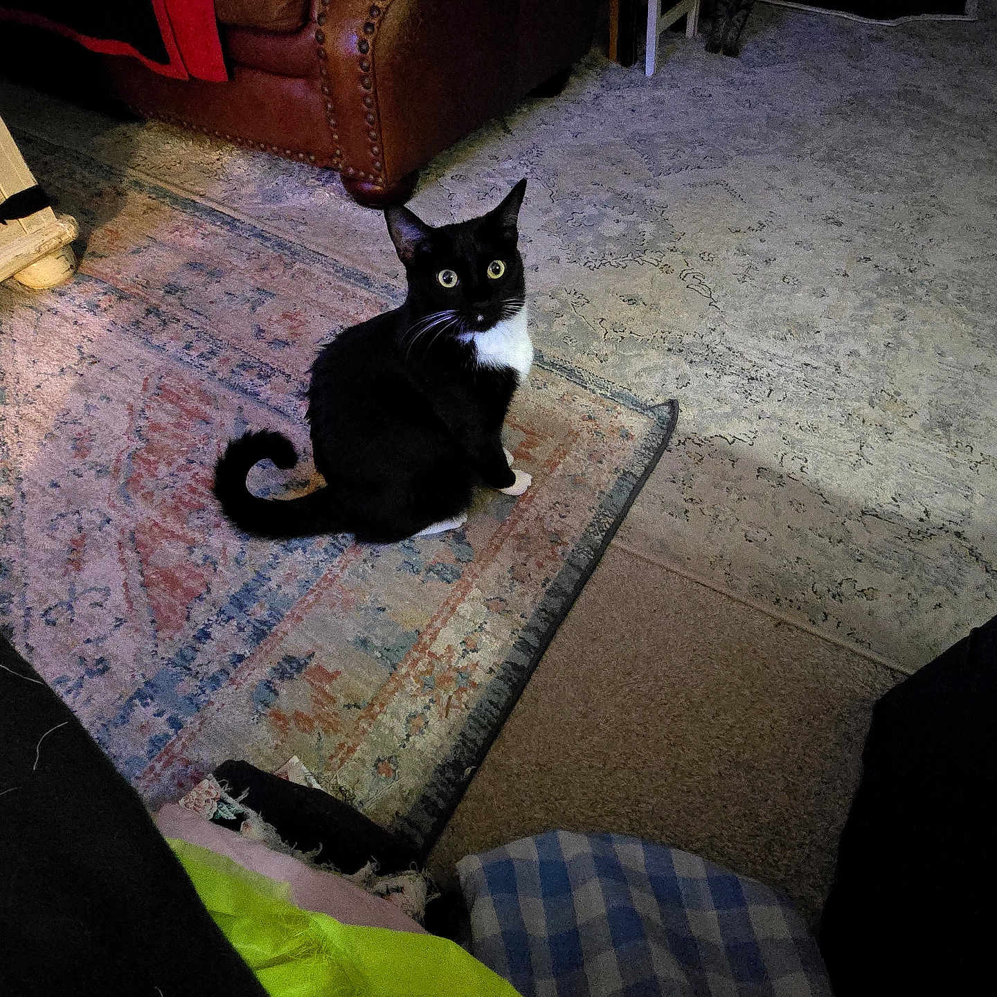 Abby