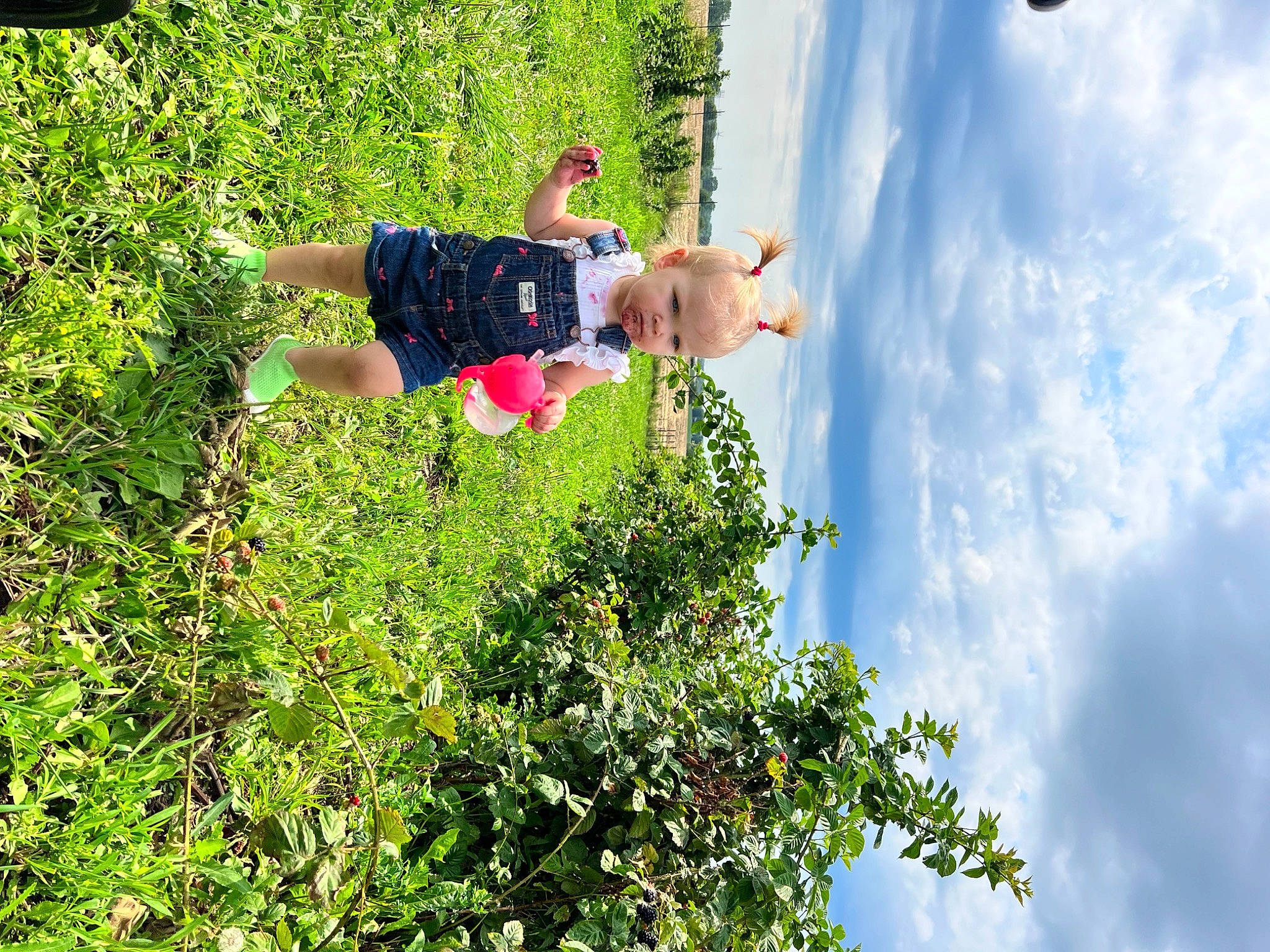 Caroline is registered to the contest to win money with this photo: adventure, cloud, cumulus, fun, grass, grassland, happy, landscape, leisure, people_in_nature, person, plant, recreation, shorts, shrub, sky, t_shirt, toddler, tree