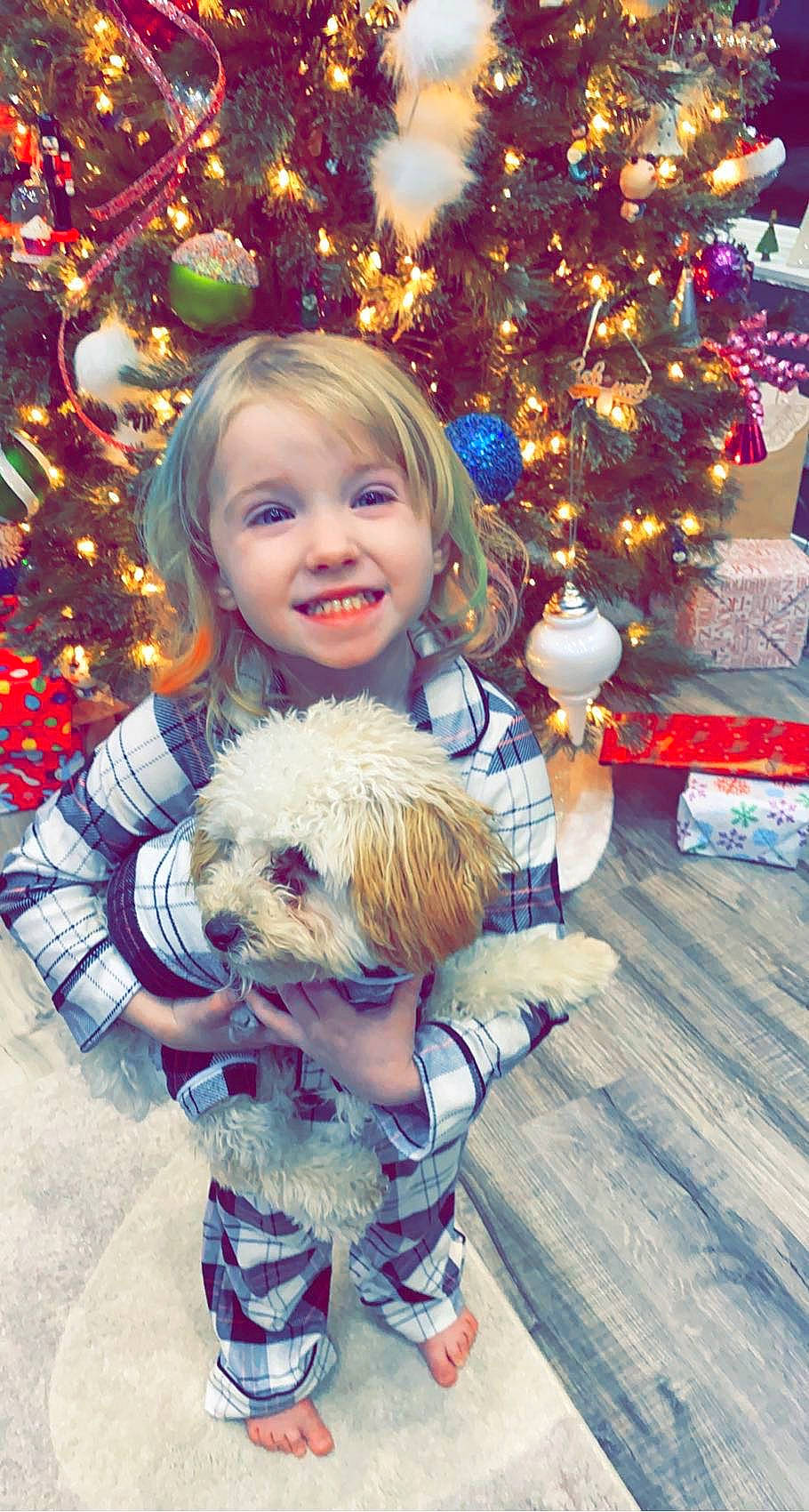 Hazleigh is registered to the contest to win money with this photo: blond, child, christmas, christmas_decoration, christmas_ornament, christmas_tree, companion_dog, dog, dog_clothes, event, fun, happy, holiday, holiday_ornament, joy, ornament, party_supply, person, smile, toddler