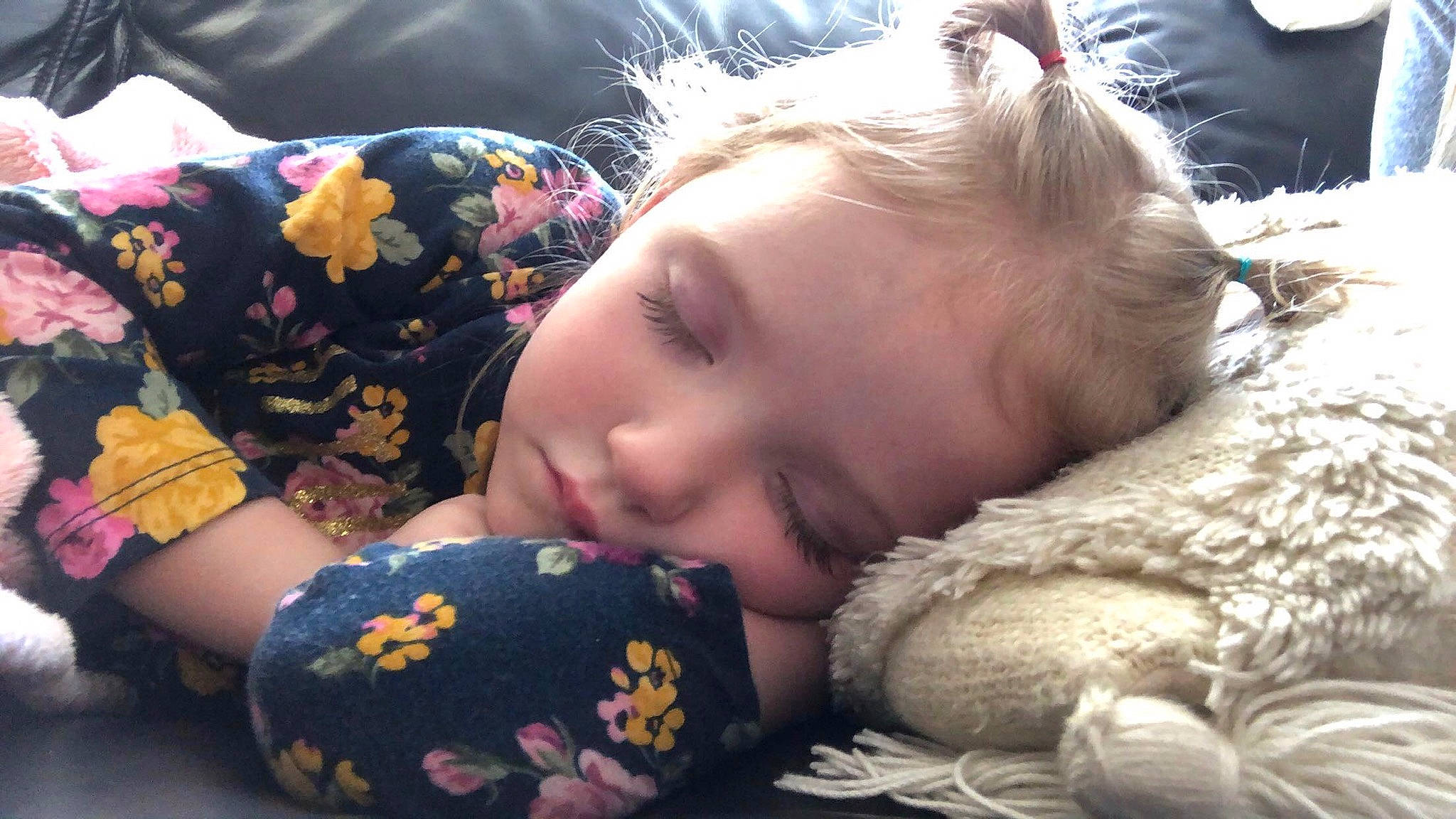 Hazleigh joined the competition — help win amazing prizes! baby, beauty, bedtime, child, comfort, fur, grass, hairstyle, happy, hug, human, linens, nap, pattern, person, sitting, skin, smile, textile, toddler