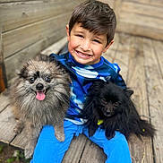 Drama joined the competition — help win amazing prizes! child, boy, dog, pet, smiling, happy, outdoor, wooden_bench, blue_clothing, fluffy_dog, black_dog, gray_dog, nature, grass, casual, portrait, playing, cute, animal, friendship
